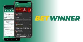 Comprehensive Guide to BetWinner Payout Methods